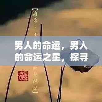 甄繁就简 第6页