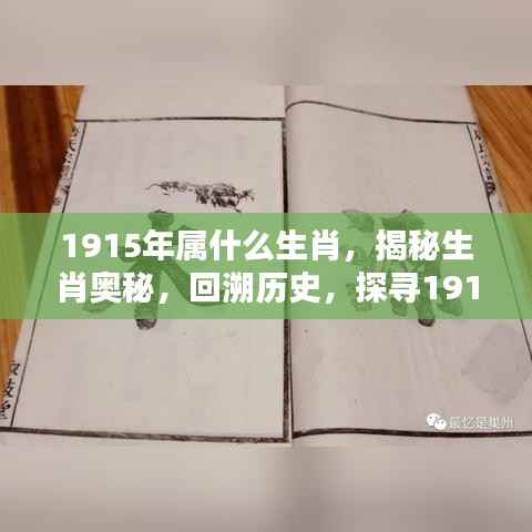揭秘生肖奥秘，探寻1915年属相之谜，揭秘属相历史回溯