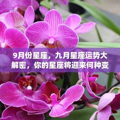 九月星座运势揭秘，你的星座将迎来怎样的变化？