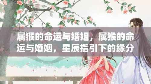 鸟入樊笼 第6页