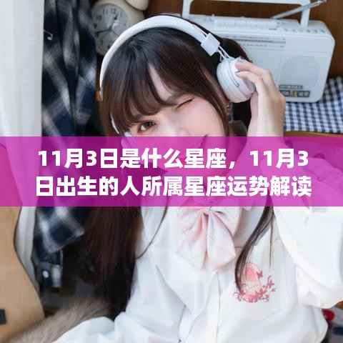 11月3日出生者的星座运势解读，揭秘天蝎座特性与运势展望