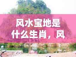 揭秘生肖与风水宝地间的神秘联系，生肖运势大解析