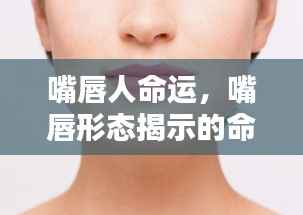 澹泊明志 第5页