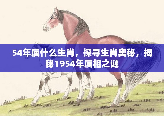 揭秘生肖奥秘，探寻1954年属相之谜，揭秘属相背后的故事与奥秘