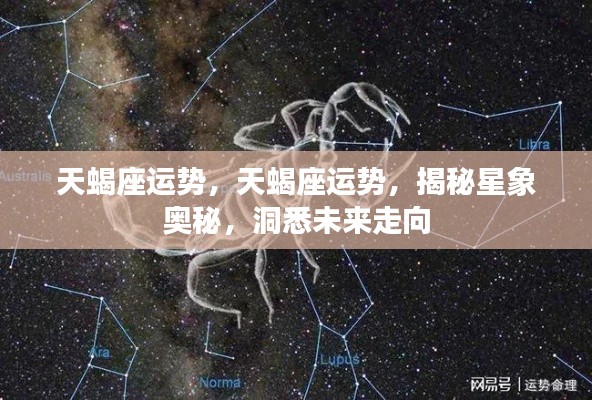 揭秘天蝎座未来星象运势，洞悉星象奥秘，展望走向成功之路