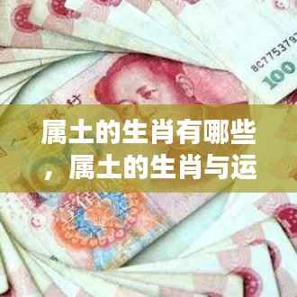 属土生肖运势展望，探寻生肖与运势的奥秘关联