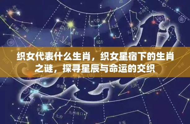 织女星宿下的生肖之谜，探寻星辰与命运的交织，揭秘织女代表的生肖