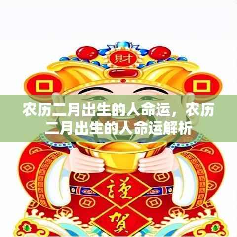 农历二月出生的人命运详解与解析
