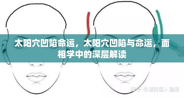 澹泊明志 第4页