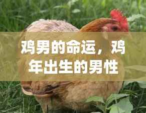 眉清目秀 第5页