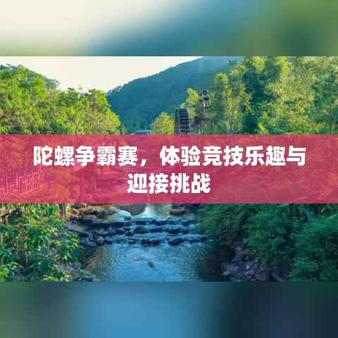 陀螺争霸赛，体验竞技乐趣与迎接挑战