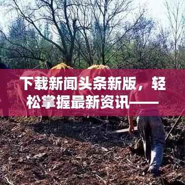 没精打采 第4页