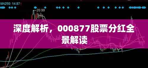 天荒地老 第5页