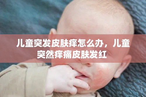 正襟危坐 第4页