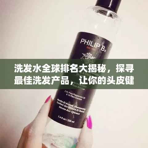 射飞逐走 第4页