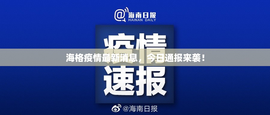 海格疫情最新消息，今日通报来袭！