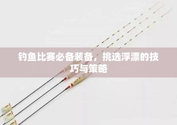 钓鱼比赛必备装备，挑选浮漂的技巧与策略