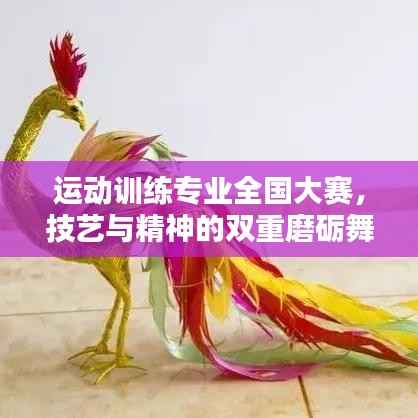 运动训练专业全国大赛，技艺与精神的双重磨砺舞台